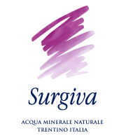 Logo Surgiva SPA